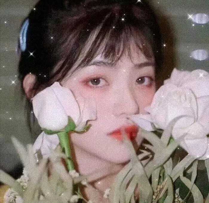 红粉争春